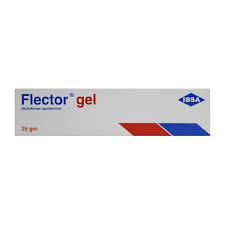 FLECTOR GEL 25GM GEL